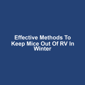 Effective Methods to Keep Mice Out of RV in Winter