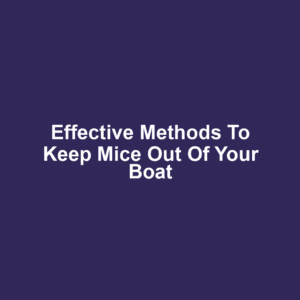 Effective Methods to Keep Mice Out of Your Boat