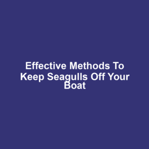 Effective Methods to Keep Seagulls Off Your Boat