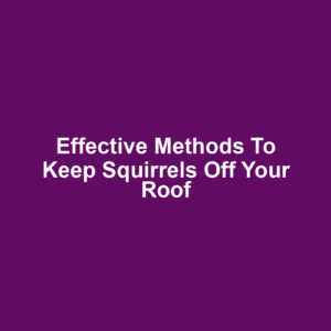 Effective Methods to Keep Squirrels Off Your Roof