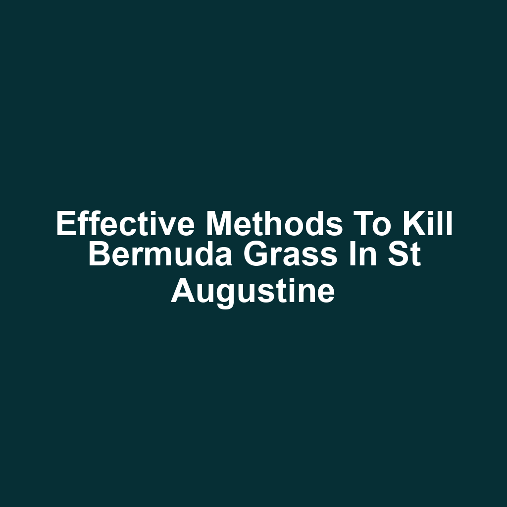 Effective Methods to Kill Bermuda Grass in St Augustine