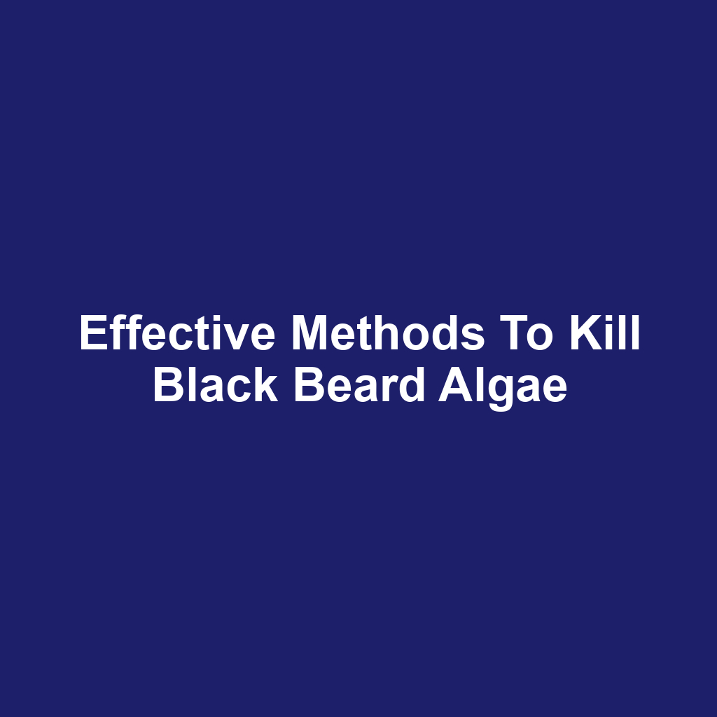 Effective Methods to Kill Black Beard Algae