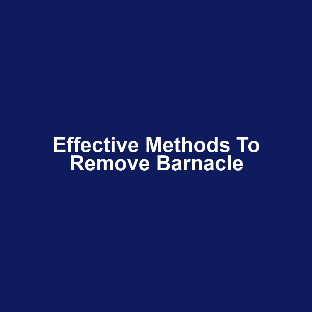 Effective Methods to Remove Barnacle