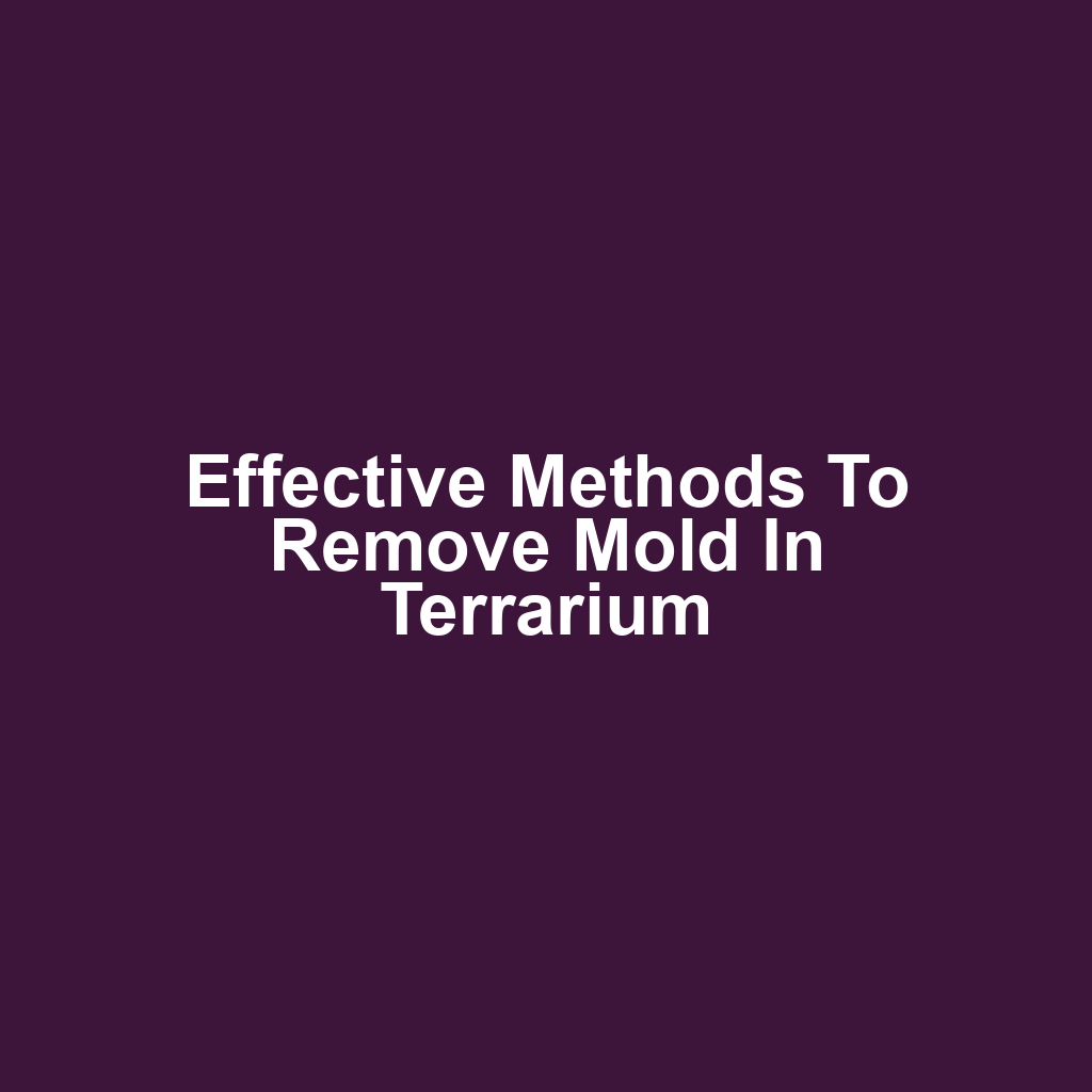 Effective Methods to Remove Mold in Terrarium