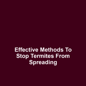 Effective methods to stop termites from spreading