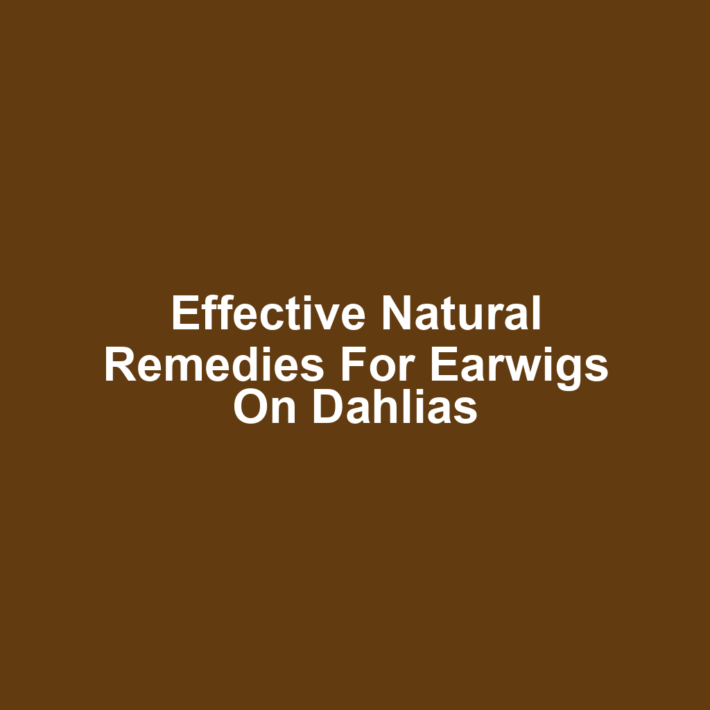 Effective Natural Remedies for Earwigs on Dahlias