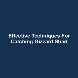 Effective Techniques for Catching Gizzard Shad