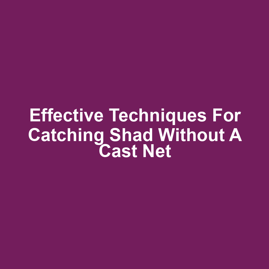 Effective Techniques for Catching Shad Without a Cast Net