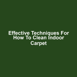 Effective Techniques for How to Clean Indoor Carpet