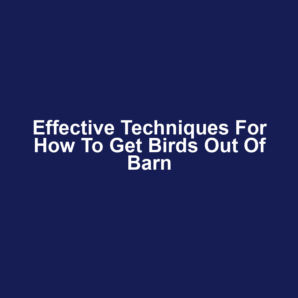 Effective Techniques for How to Get Birds Out of Barn