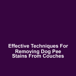 Effective techniques for removing dog pee stains from couches