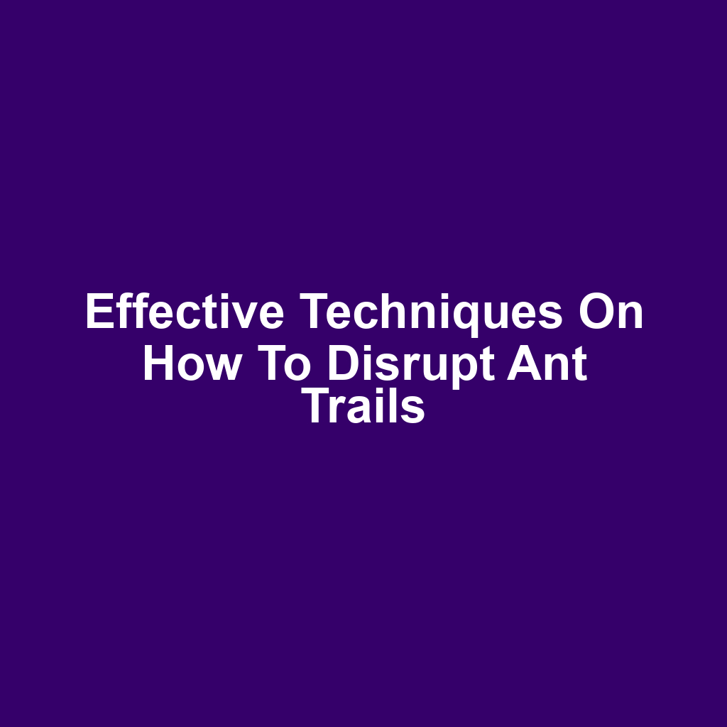 Effective Techniques on How to Disrupt Ant Trails
