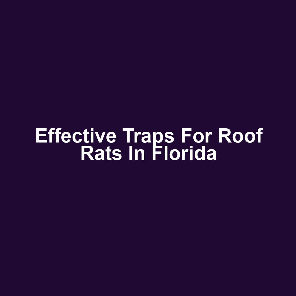 Effective Traps for Roof Rats in Florida