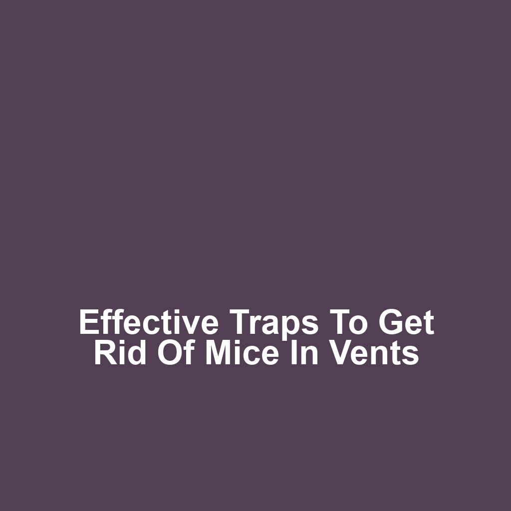 Effective Traps to Get Rid of Mice in Vents