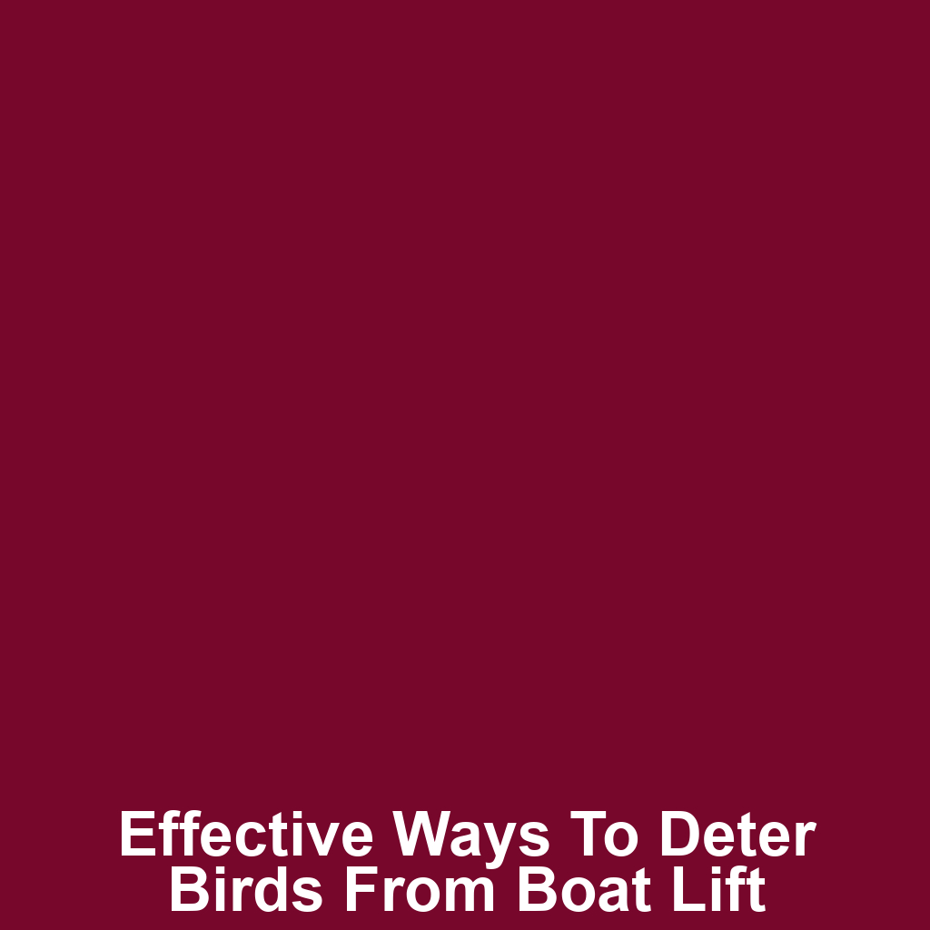 Effective ways to deter birds from boat lift canopy