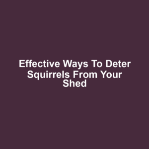 Effective ways to deter squirrels from your shed