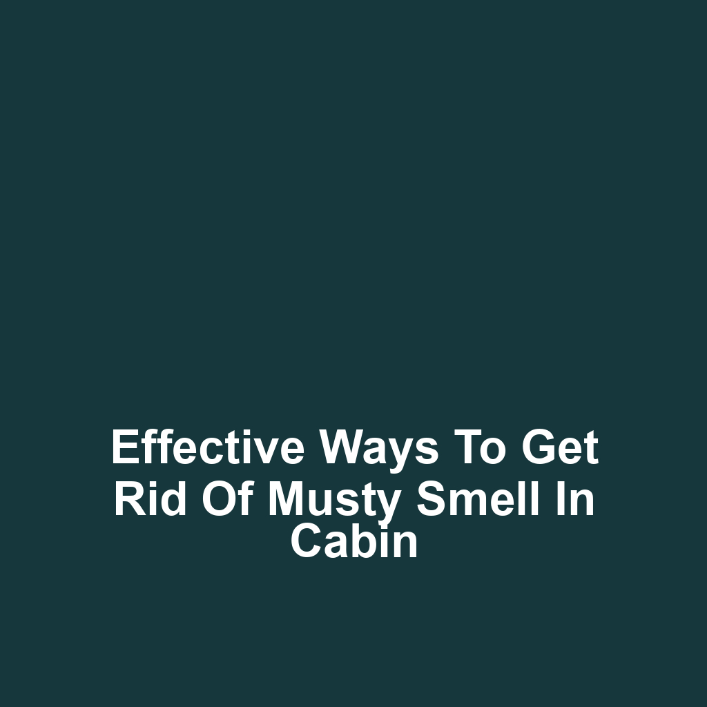 Effective Ways to Get Rid of Musty Smell in Cabin