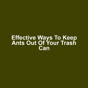 Effective Ways to Keep Ants Out of Your Trash Can