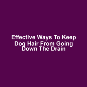 Effective ways to keep dog hair from going down the drain