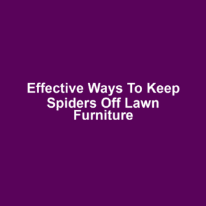 Effective Ways to Keep Spiders Off Lawn Furniture