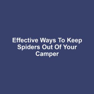 Effective Ways to Keep Spiders Out of Your Camper