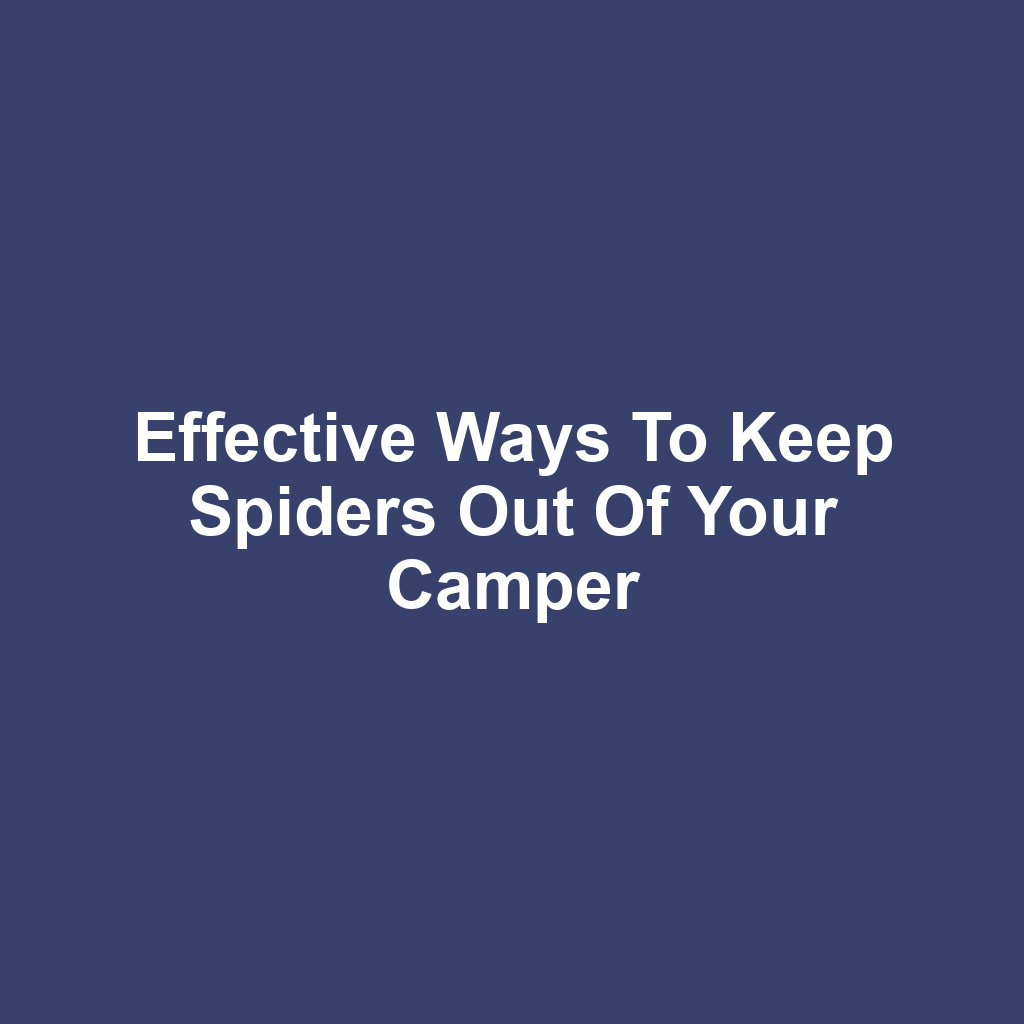 Effective Ways to Keep Spiders Out of Your Camper