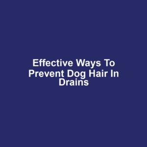 Effective Ways to Prevent Dog Hair in Drains