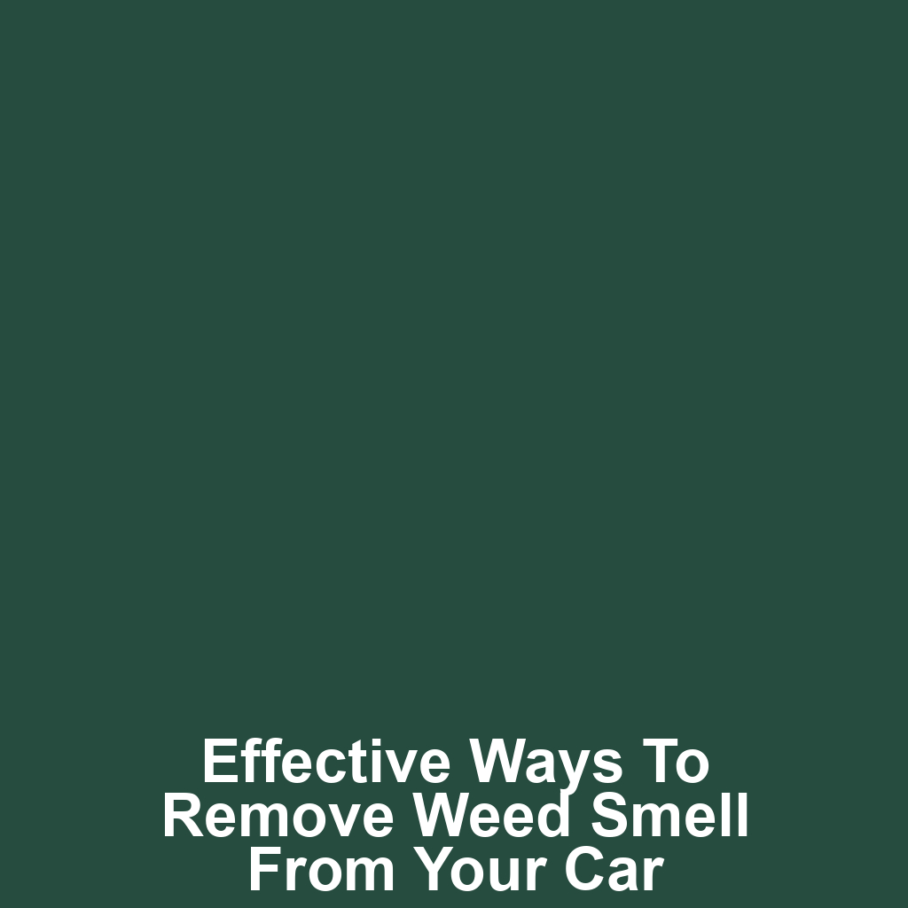 Effective ways to remove weed smell from your car