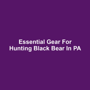 Essential Gear for Hunting Black Bear in PA
