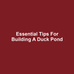 Essential Tips for Building a Duck Pond