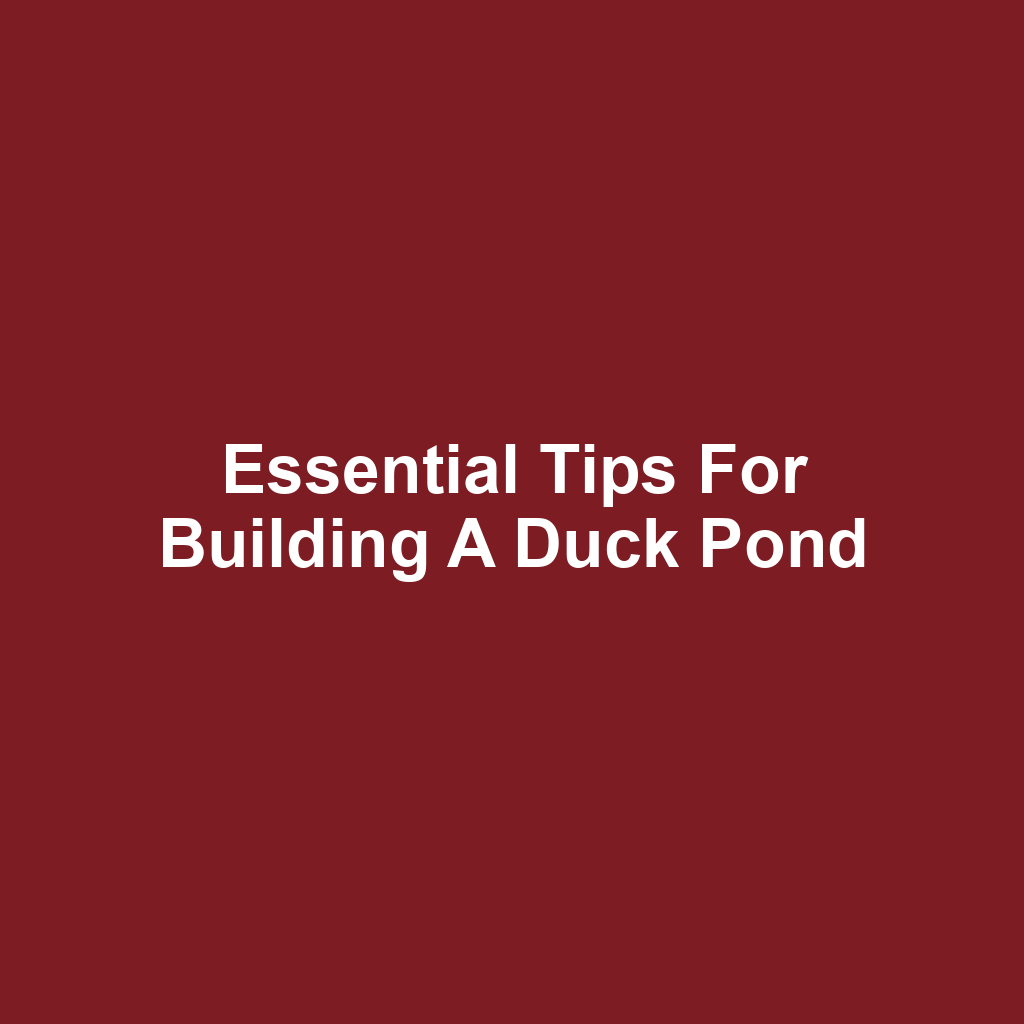 Essential Tips for Building a Duck Pond