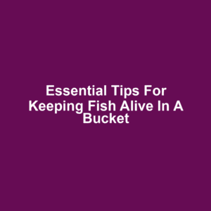 Essential Tips for Keeping Fish Alive in a Bucket