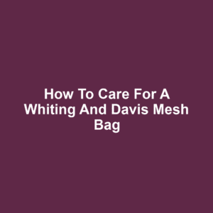 How to Care for a Whiting and Davis Mesh Bag