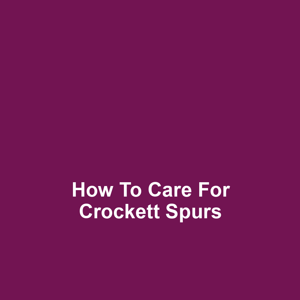 How to Care for Crockett Spurs