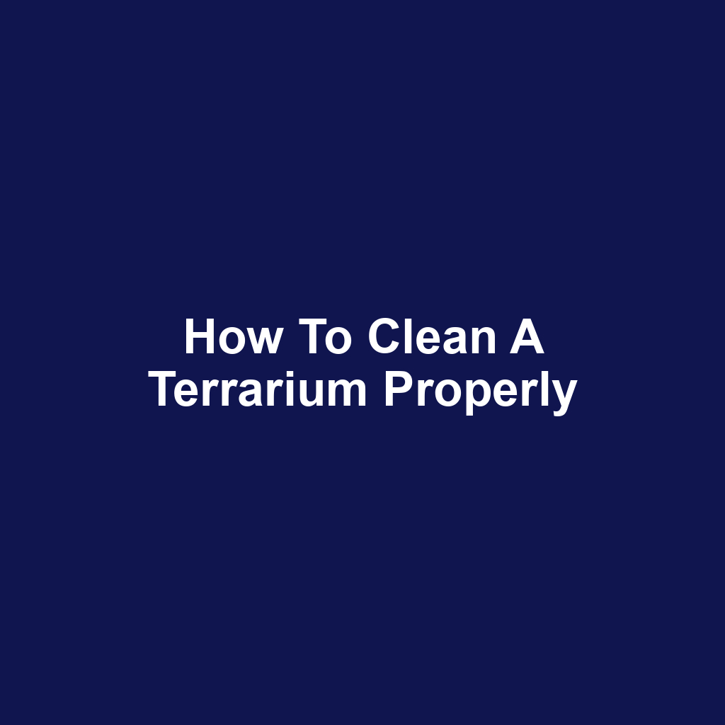 How to Clean a Terrarium Properly