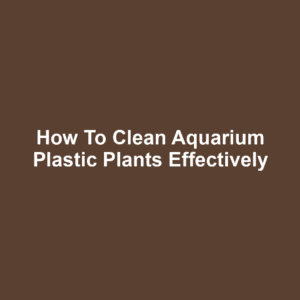 How to Clean Aquarium Plastic Plants Effectively