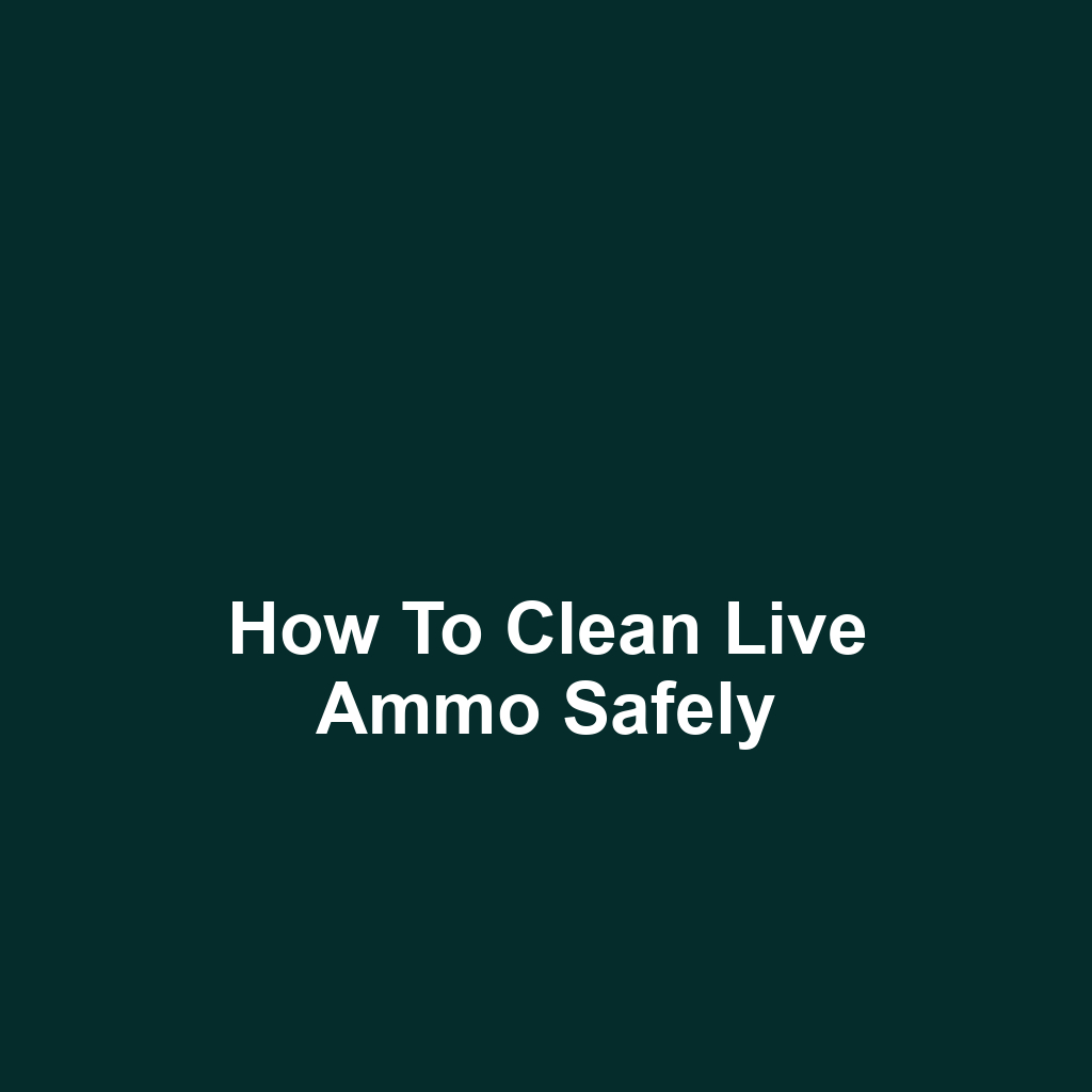 How to Clean Live Ammo Safely