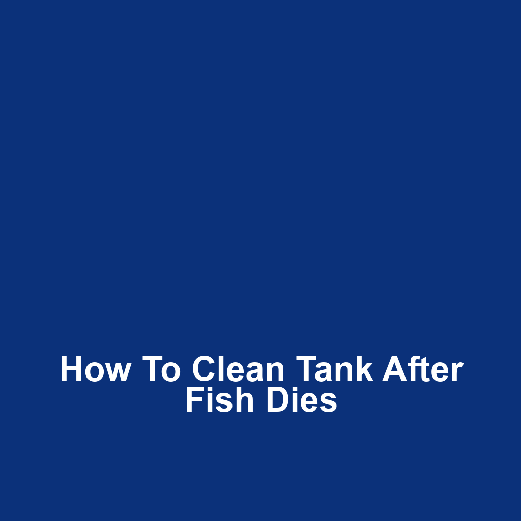How to Clean Tank After Fish Dies