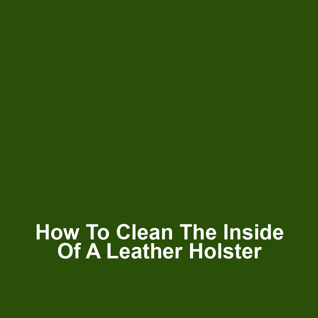 How to Clean the Inside of a Leather Holster