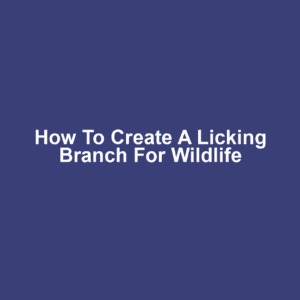 How to Create a Licking Branch for Wildlife