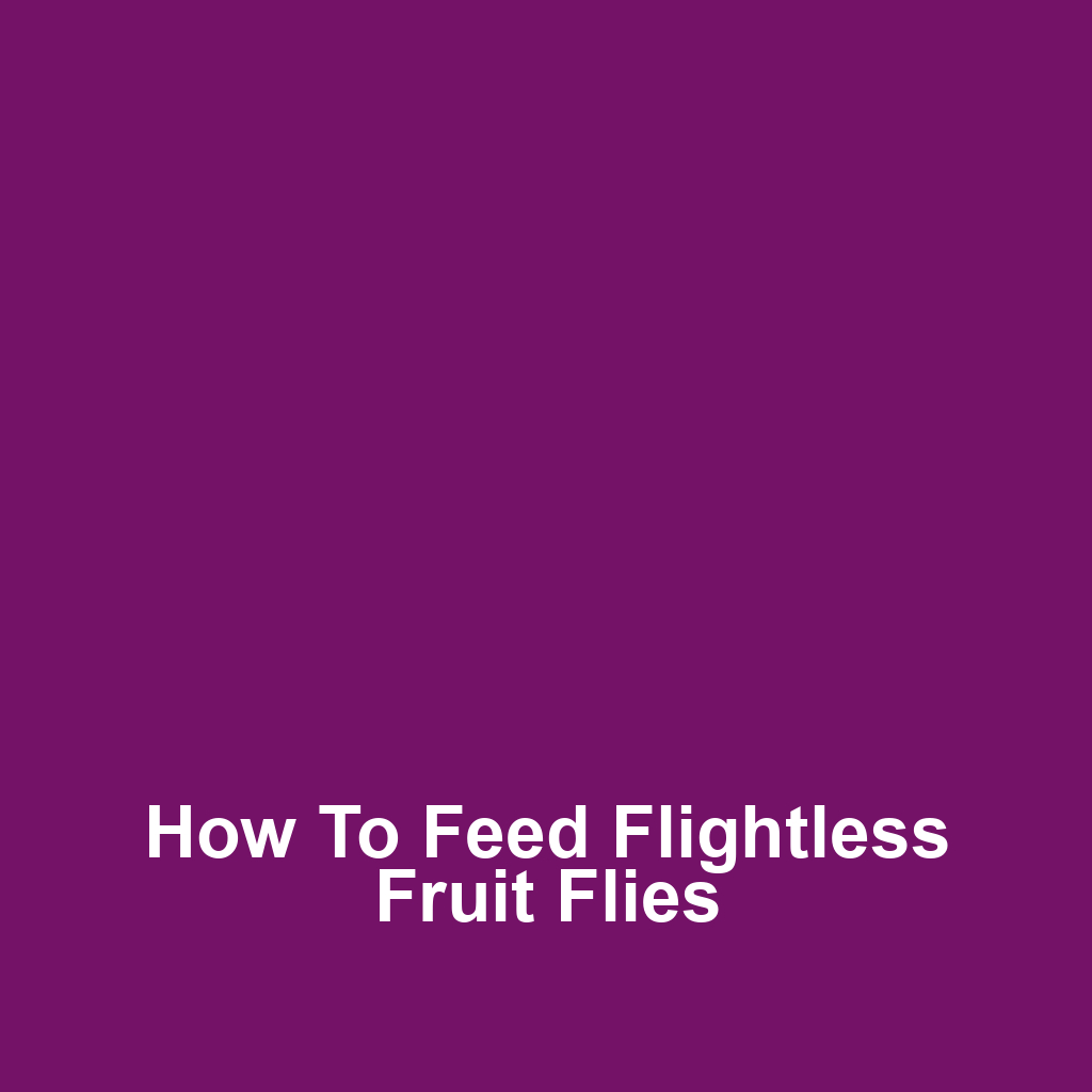 How to Feed Flightless Fruit Flies