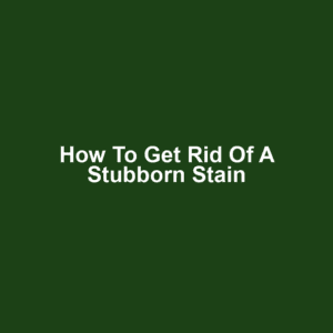 How to Get Rid of a Stubborn Stain