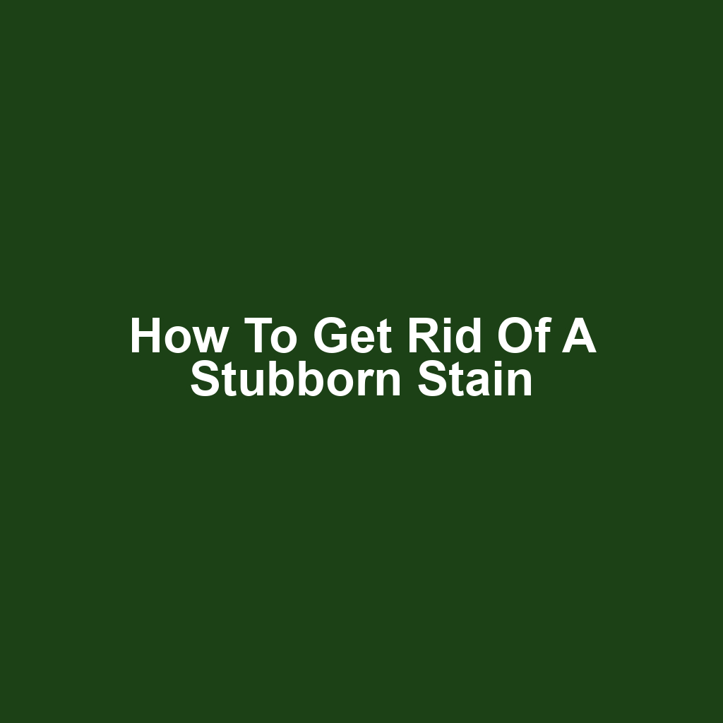 How to Get Rid of a Stubborn Stain