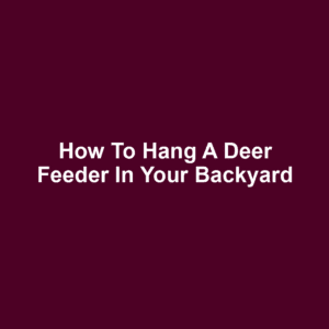 How to Hang a Deer Feeder in Your Backyard