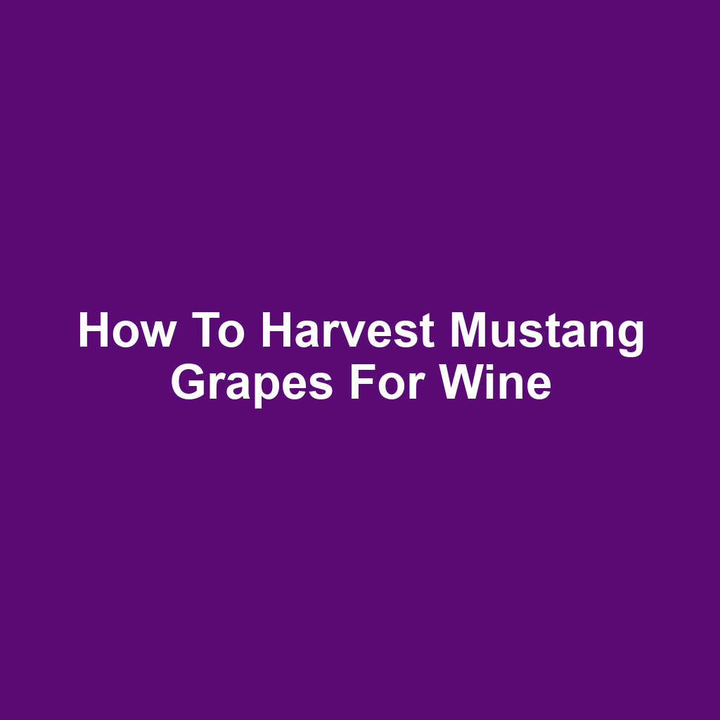 How to Harvest Mustang Grapes for Wine