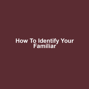 How to Identify Your Familiar