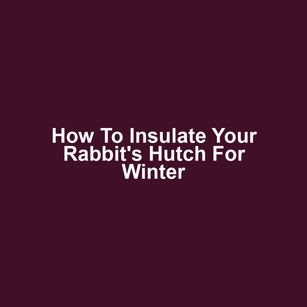 How to Insulate Your Rabbit's Hutch for Winter