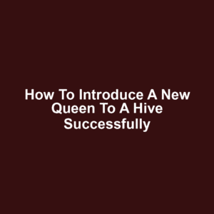 How to Introduce a New Queen to a Hive Successfully