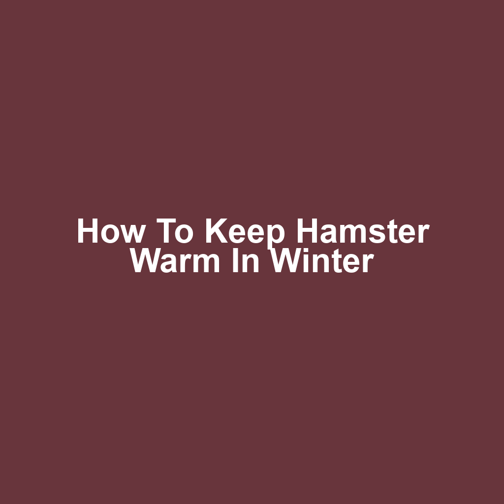 How to Keep Hamster Warm in Winter