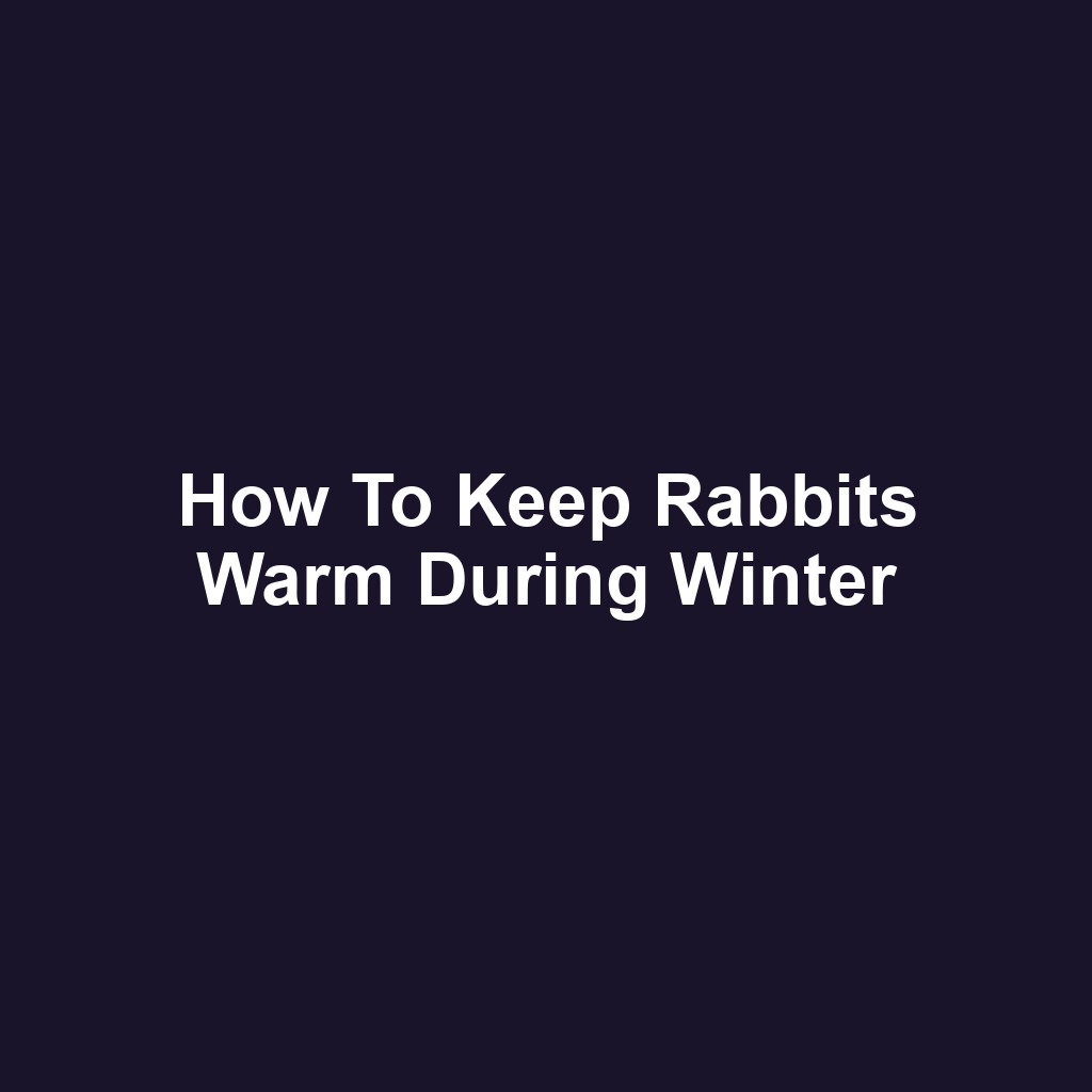 How to Keep Rabbits Warm During Winter